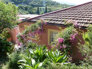 Belvedere Lodge