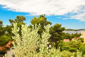 Apartments Zoricic