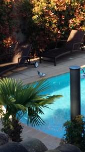 B&B / Chambres d'hotes Villa Chrisama FLAYOSC : photos des chambres