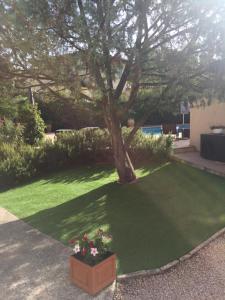 B&B / Chambres d'hotes Villa Chrisama FLAYOSC : photos des chambres