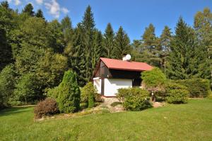 Chata Holiday home in Starobucke Debrne 1307 Starobucké Debrné Česko