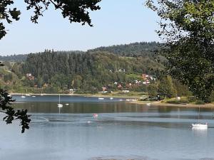 Pokoje Na Skale nad Jeziorem Solińskim 691-363-701