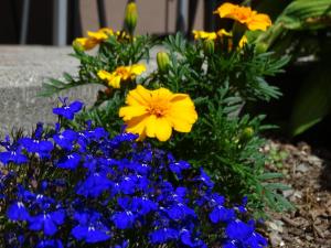 Alpenfrieden - Nauders