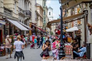 Luxury & Antique Charm