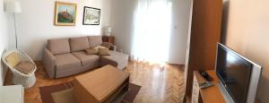 Apartment Branka