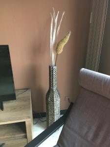 Ameland Rentals Hollum