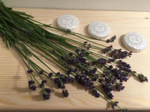 House Apartmentshumpolec + Garden