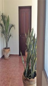 La Vivienda Villa