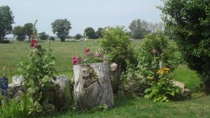 Idyllisch gelegene Ferienunterkuen