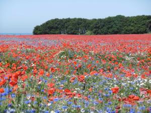 Idyllisch gelegene Ferienunterkuen