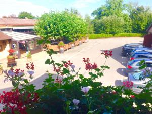Hotels Hotel et Spa du Scharrach : photos des chambres