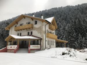 Genzianella Molveno-Andalo