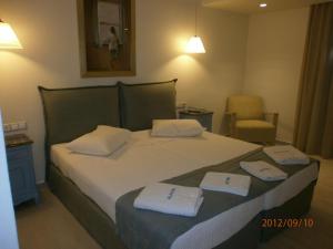 Alkyoni Beach Hotel Naxos Greece