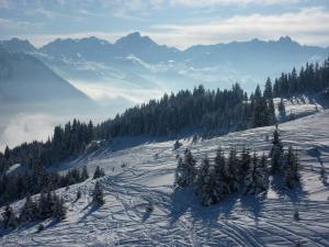 Hotels Les Glieres - Champagny-en-Vanoise : photos des chambres