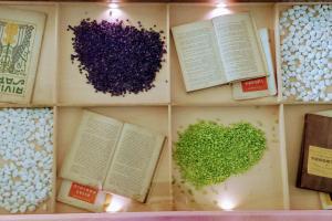 Hotel Sandalia img50