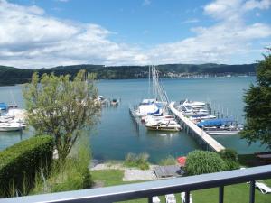 Single Room with Lake View room in Hotel Pension Café Hasler