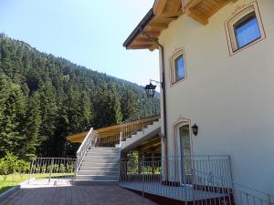 Genzianella Molveno-Andalo