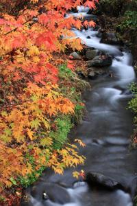 Nukumorino-yado Komanoyu