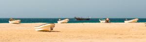 Al Reem Chalet