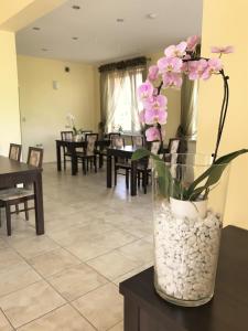 Pokoje Gościnne w Dolinie Szczęścia