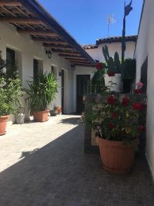 Nzina Maison de Charme