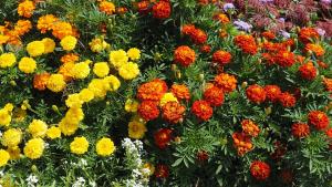 Familienparadies Zeislerhof