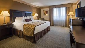 Deluxe King - Non-Smoking room in Best Western Plus Concordville Hotel