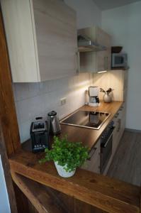 bluming inn - Ferienwohnung im Spreewald