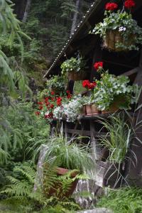 Casa "Cabana Varciorog Arieseni"