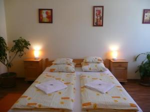 Double Room room in Kincses vendégház