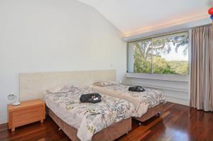 Treehouse Jervis Bay