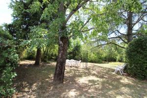 Maisons de vacances Montloubier : photos des chambres