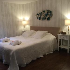 B&B / Chambres d'hotes La Maison Bleue : photos des chambres