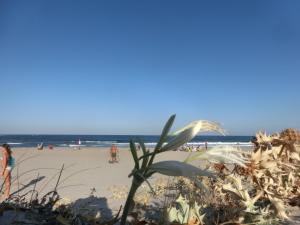 La Costa Est Villa con Vista Mare in Ogliastra Sardegna