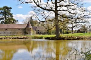 B&B / Chambres d'hotes Chateau du Blanc Buisson : photos des chambres