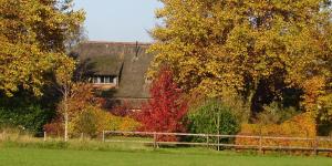 Farmhouse De Hoeve B&B apartment