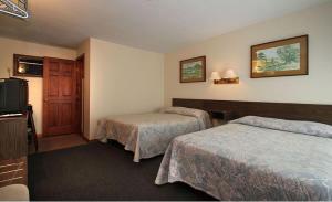 Queen Room room in Dolphyn Motel