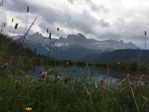 Apartments Dilln Gütl