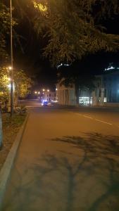 Apartment on Kolkheti Street 1