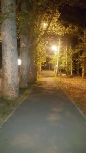 Apartment on Kolkheti Street 1