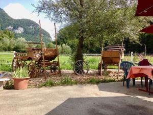 Eichhof Brienzwiler Berner Oberland