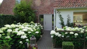 The Two Oaks - Now Winter Pricing