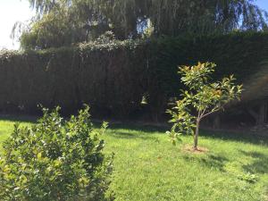Maisons de vacances Villa Cotentin : photos des chambres