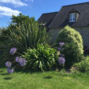 Maisons de vacances Villa Cotentin : photos des chambres