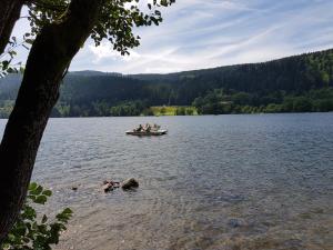 Chalets Chalet Biazot : photos des chambres