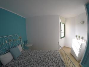 Ocean View Bouganville