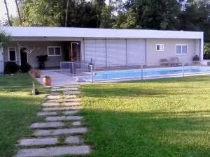 Manuel Tiago Pereira - Pico