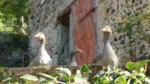 B&B / Chambres d'hotes Chateau Paysan ecolobio de Durianne : photos des chambres