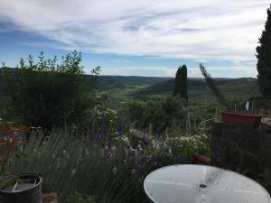 Apartments Padna Goja Apartments Padna Goja