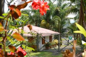 Cabañas Las Bifloras